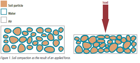 soil compaction vs consolidation