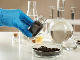 organic content test of soil